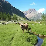Appartement La Piana Alpe Devero